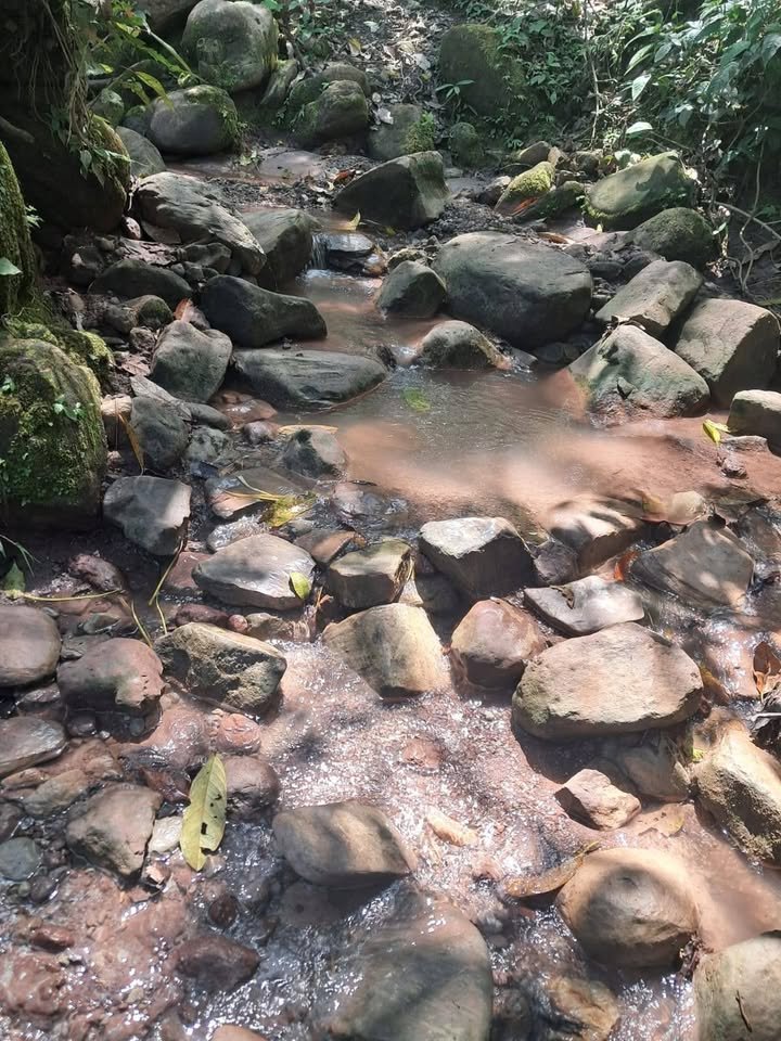 Chacra en San José de Sisa, San Martín — foto 2