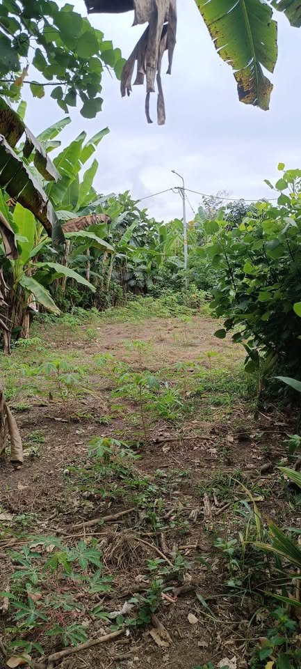 Lote en Rupa-Rupa, Huánuco — foto 3