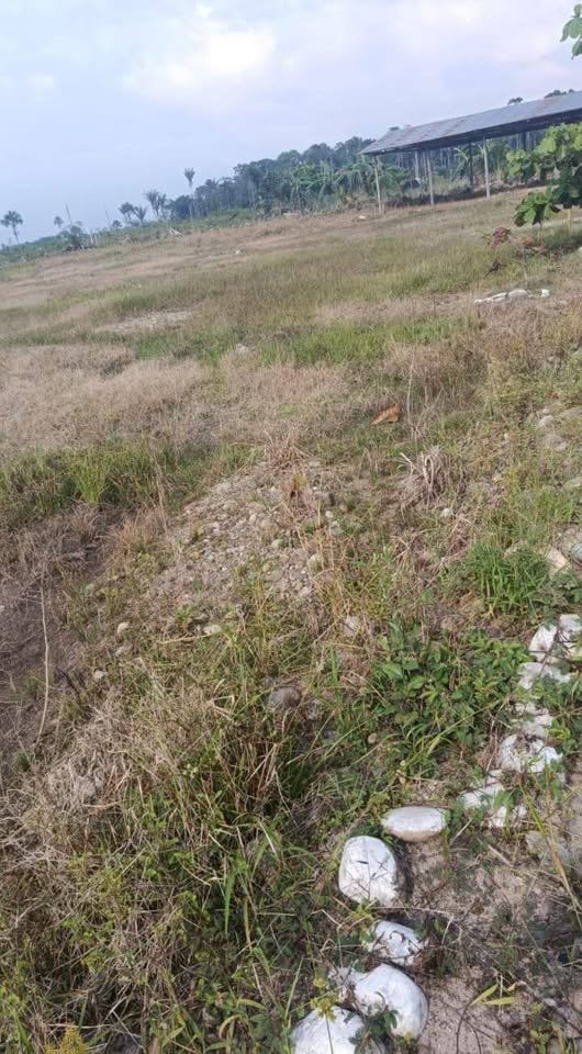Terreno en Padre Abad, Ucayali — foto 3