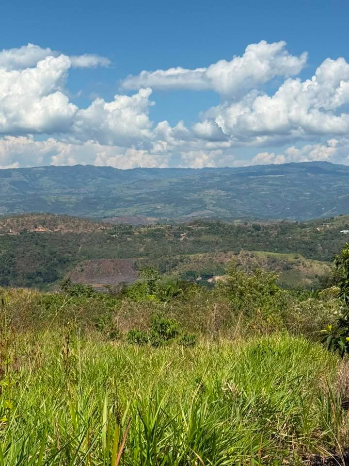 Terreno en Tarapoto, San Martín — foto 2
