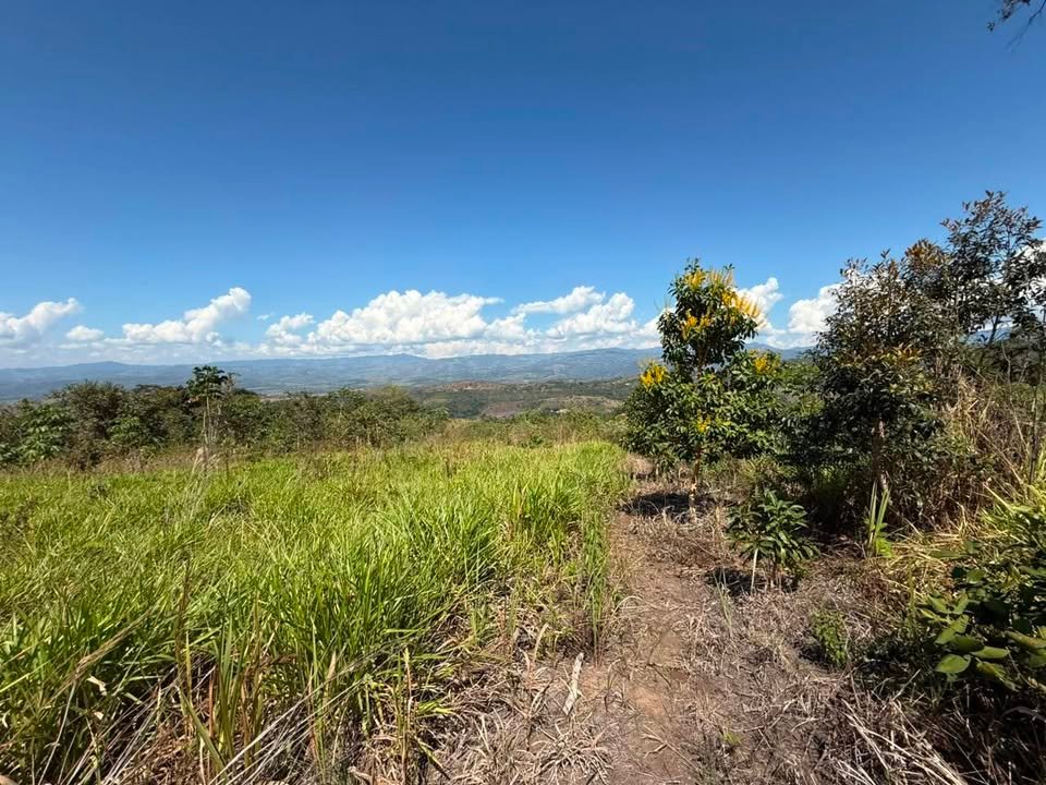 Terreno en Tarapoto, San Martín — foto 3