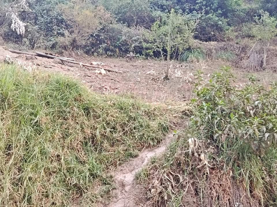Terreno en Huariaca, Pasco — foto 1