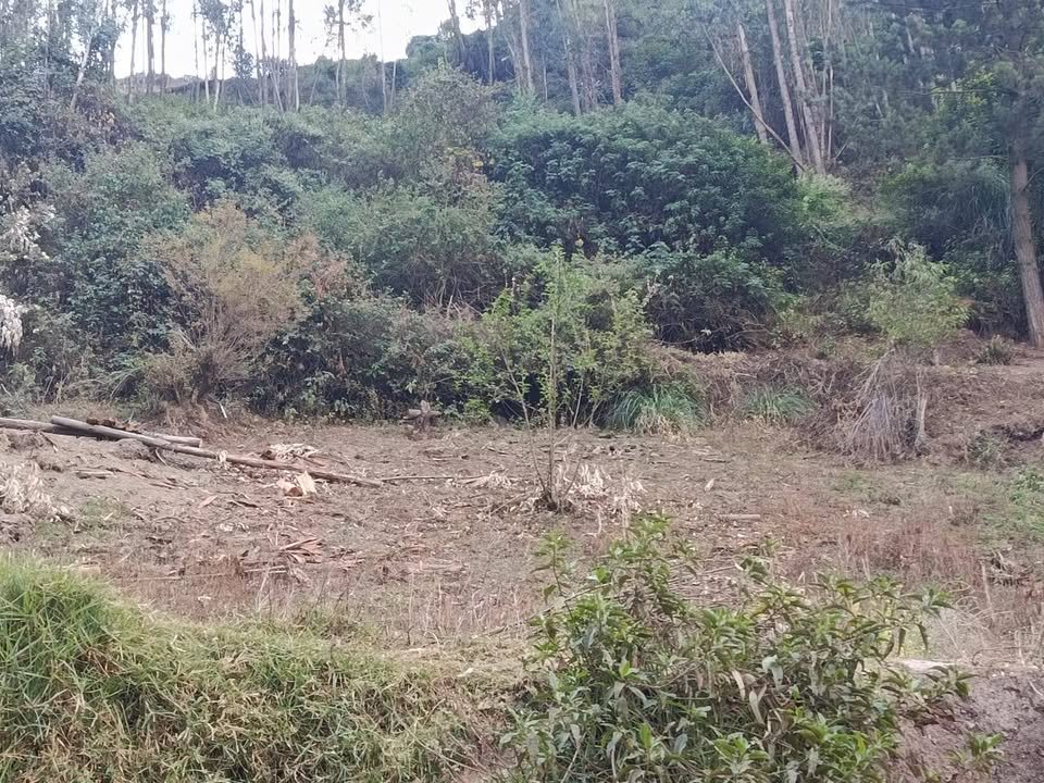 Terreno en Huariaca, Pasco — foto 2