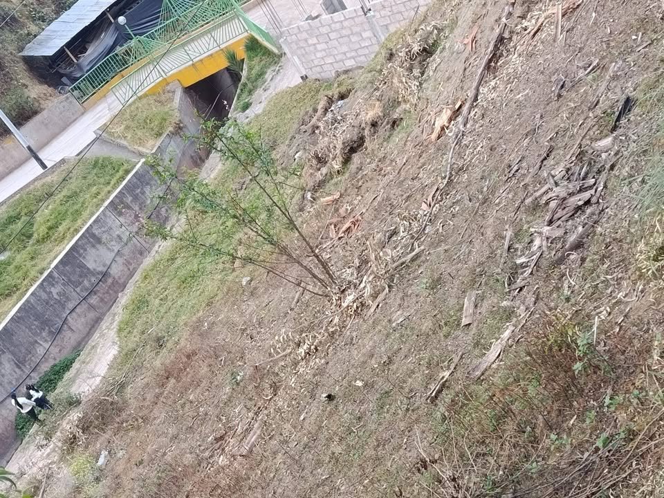 Terreno en Huariaca, Pasco — foto 3