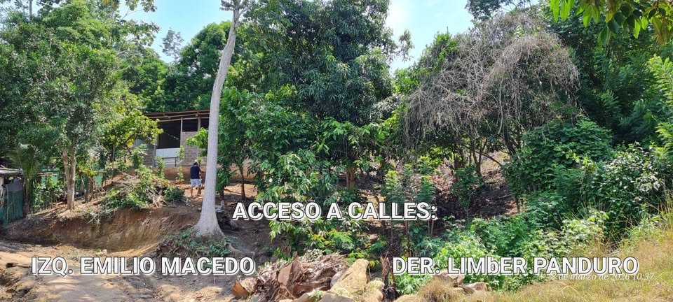 Terreno en Shanao, San Martín — foto 2