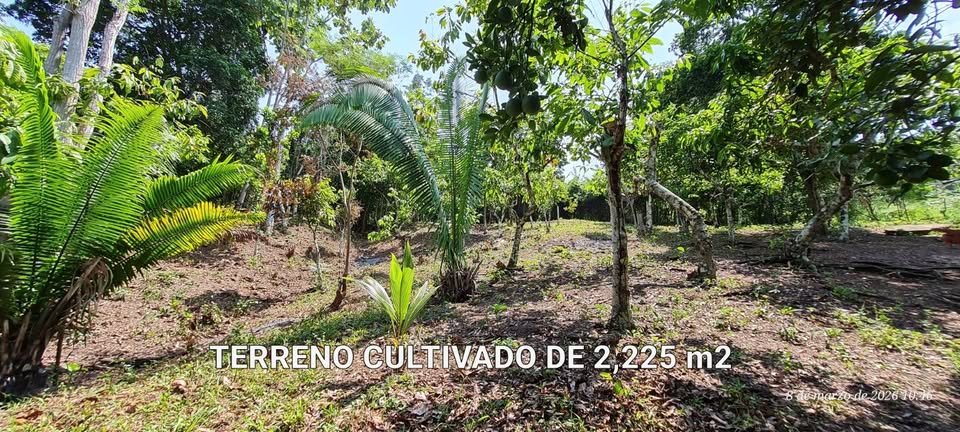 Terreno en Shanao, San Martín — foto 3