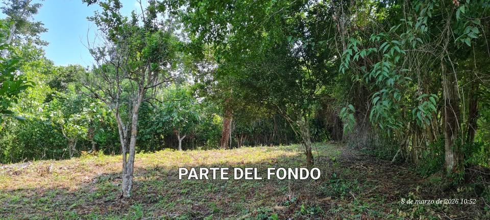 Terreno en Shanao, San Martín — foto 4