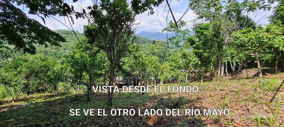 Terreno en Shanao, San Martín — foto 5