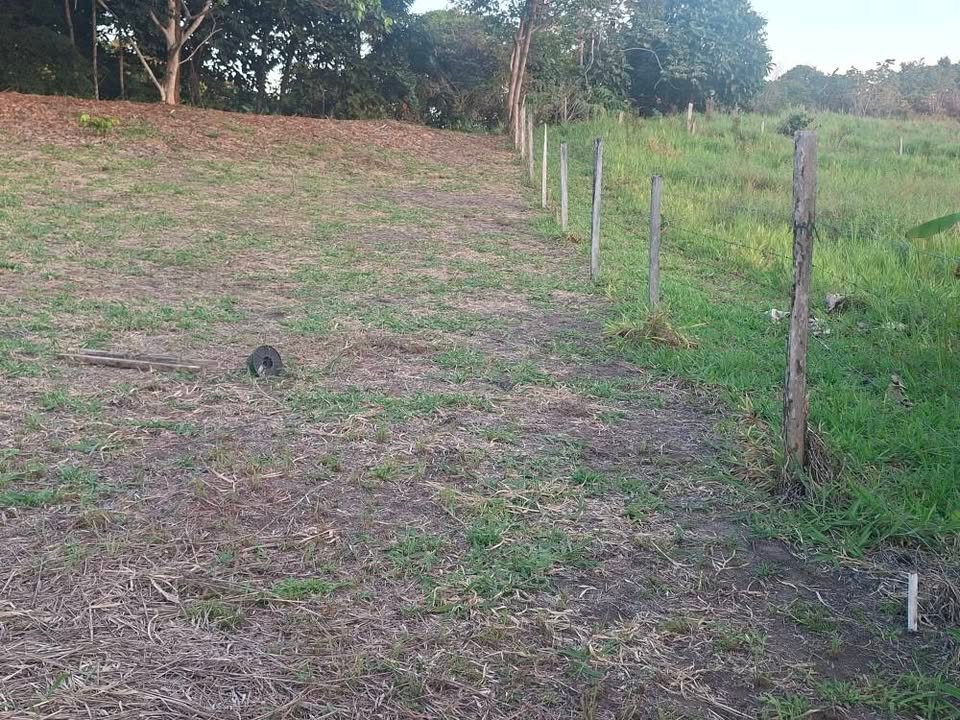 Lote en La Banda de Shilcayo, San Martín — foto 5
