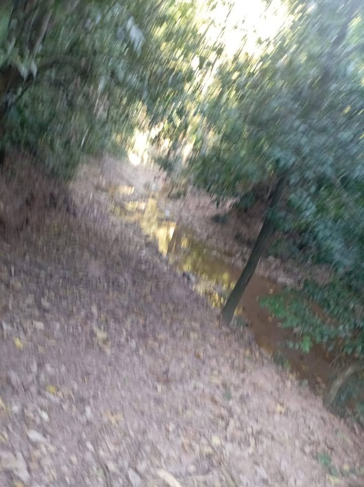 Chacra en Juan Guerra, San Martín — foto 3