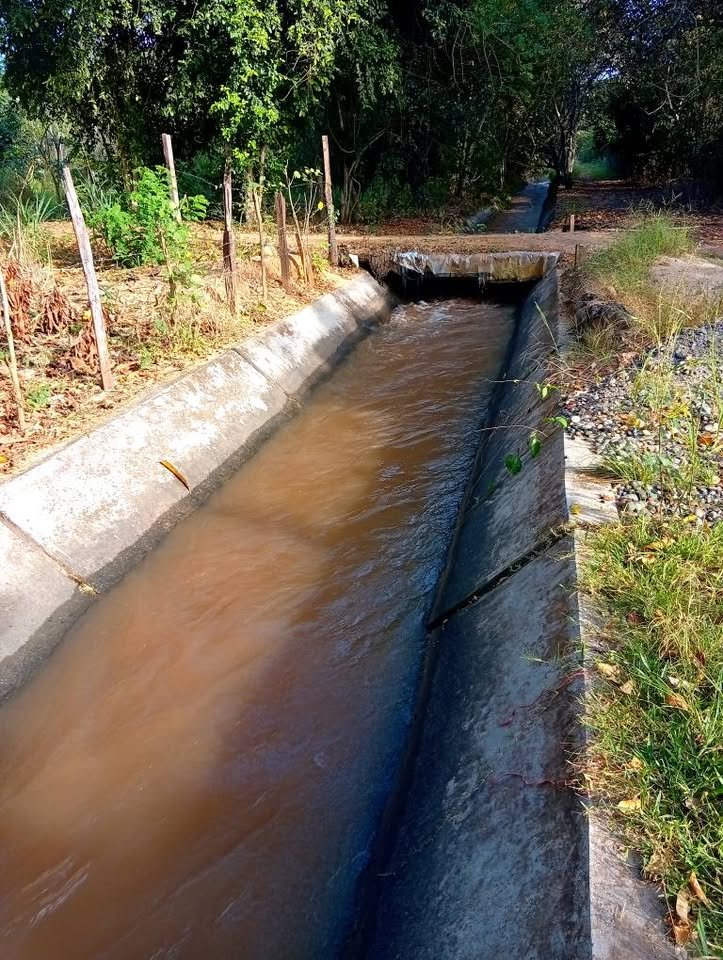 Chacra en Tarapoto, San Martín — foto 3