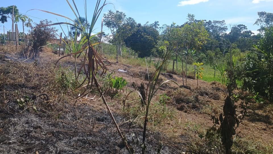 Lote en Moyobamba, San Martín — foto 4