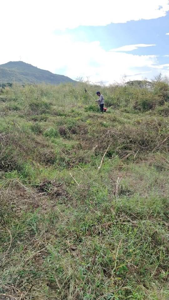 Terreno en Picota, San Martín — foto 1