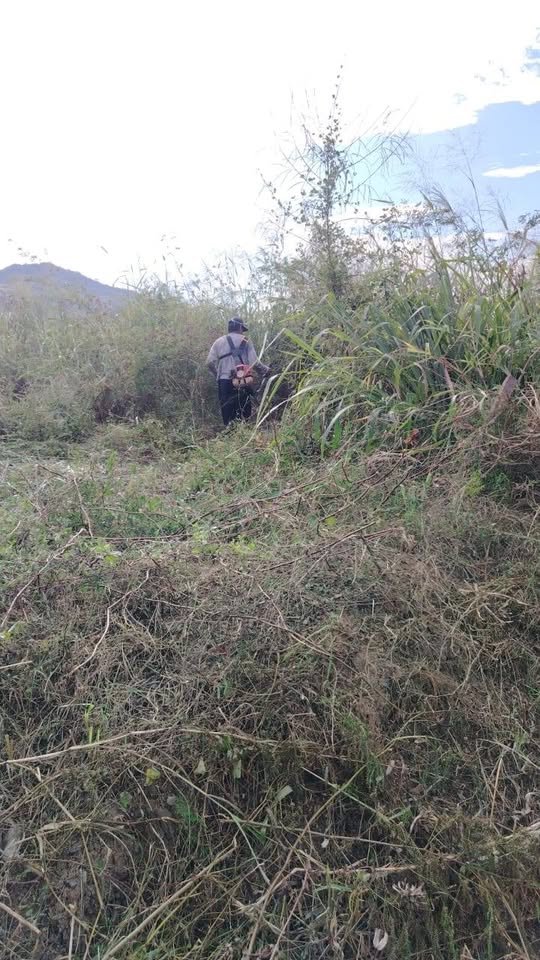 Terreno en Picota, San Martín — foto 2