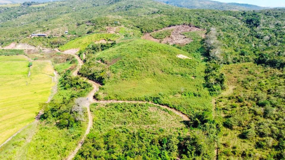 Terreno en Tarapoto, San Martín — foto 1