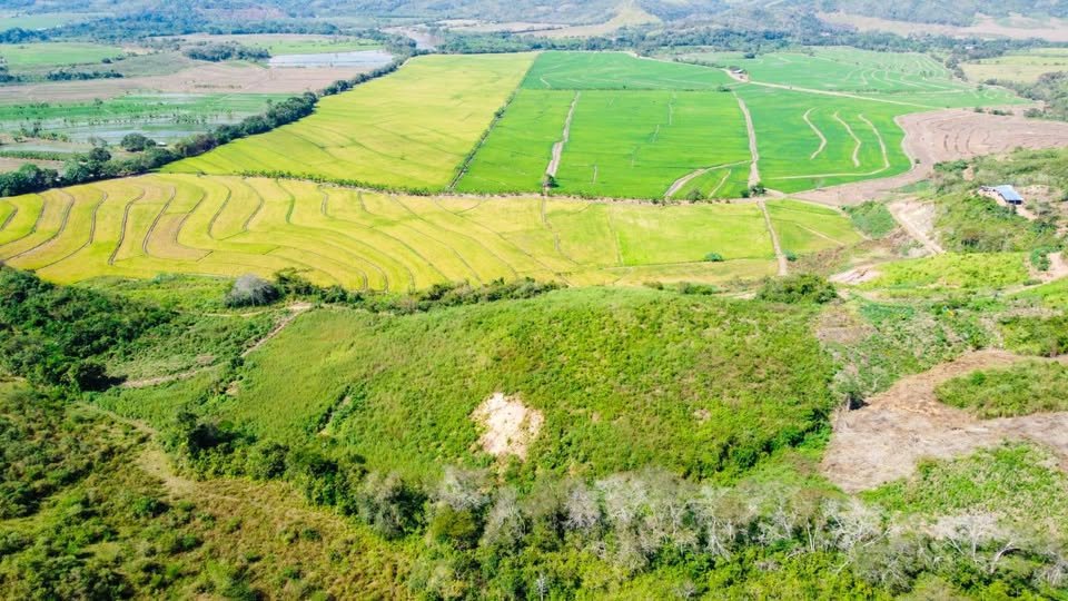Terreno en Tarapoto, San Martín — foto 2