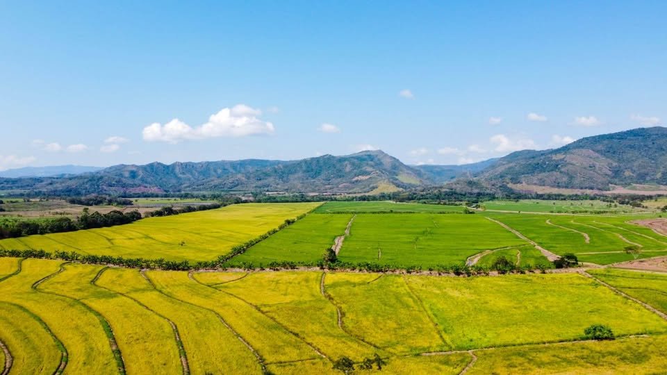 Terreno en Tarapoto, San Martín — foto 3