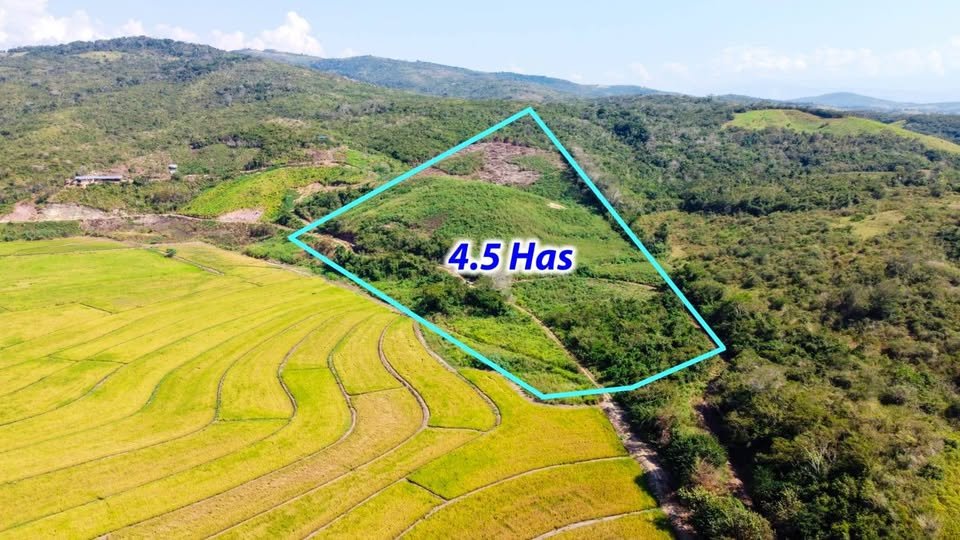 Terreno en Tarapoto, San Martín — foto 4