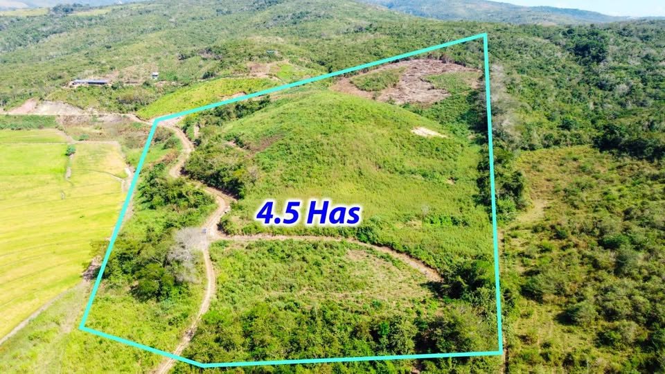 Terreno en Tarapoto, San Martín — foto 5
