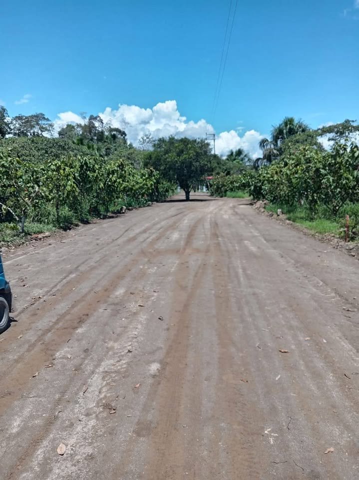 Chacra en Luyando, Huánuco — foto 5