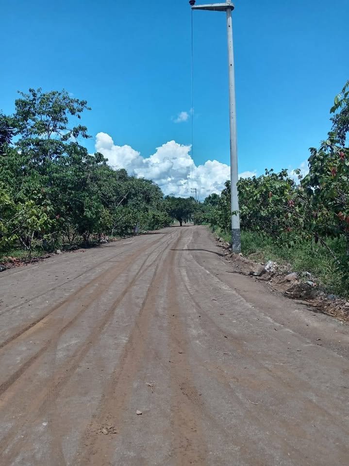 Chacra en Luyando, Huánuco — foto 6