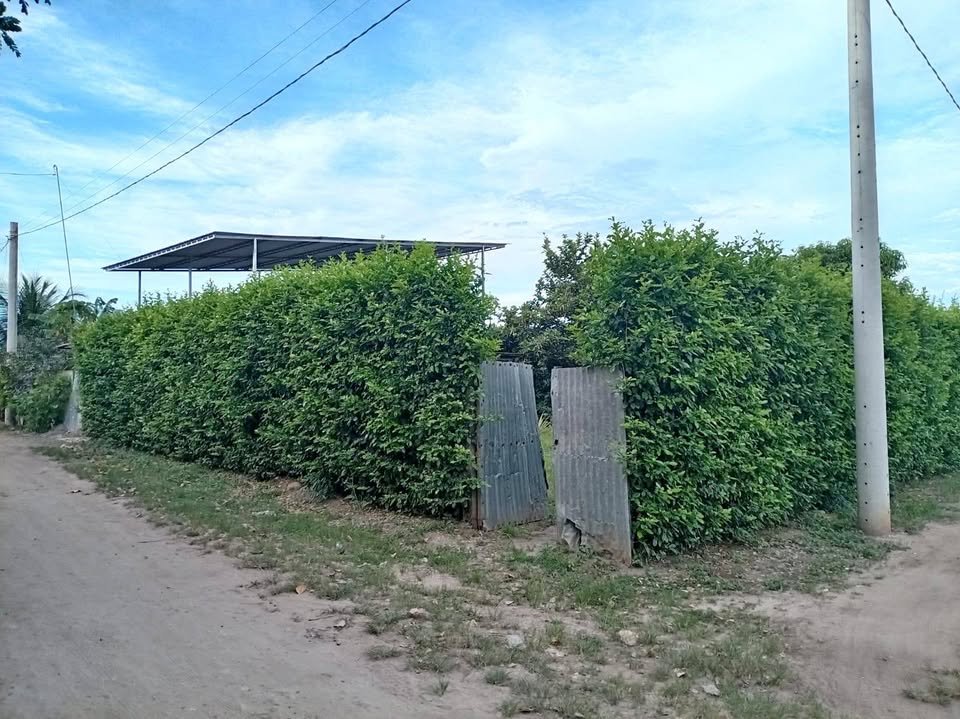 Quinta / casa de campo en Tres de Octubre — foto 1