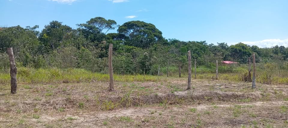 Lote en Moyobamba, San Martín — foto 2