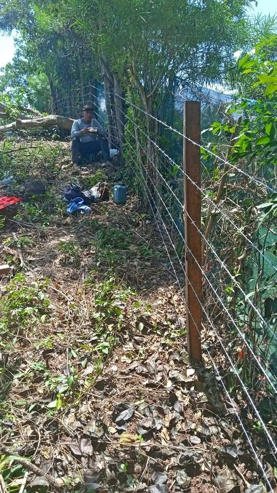 Terreno en Tarapoto, San Martín — foto 1