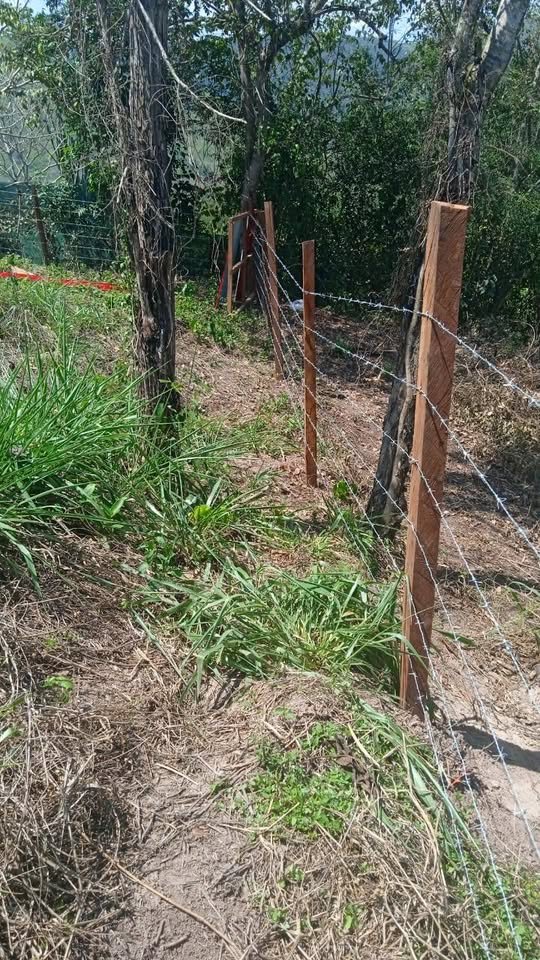 Terreno en Tarapoto, San Martín — foto 2