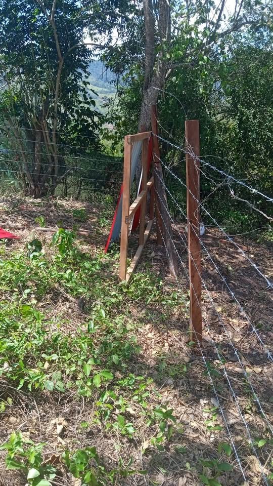 Terreno en Tarapoto, San Martín — foto 6