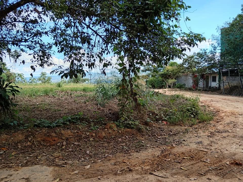 Lote en Lamas, San Martín — foto 2
