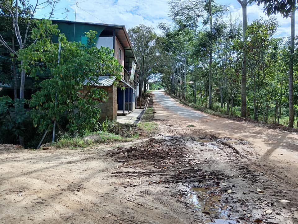 Lote en Lamas, San Martín — foto 4
