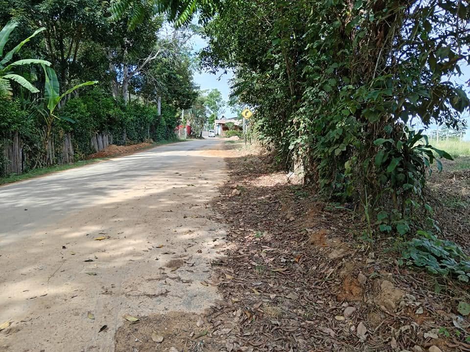 Lote en Lamas, San Martín — foto 5
