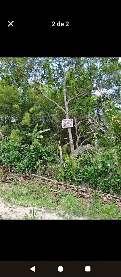 Terreno en Yantaló, San Martín — foto 1