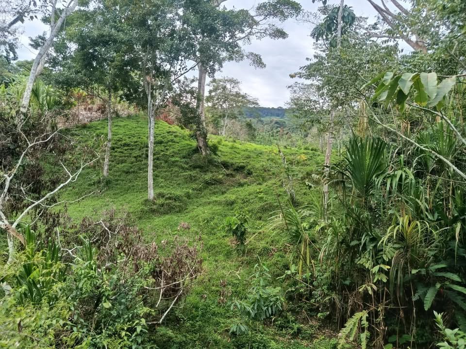 Terreno en Moyobamba, San Martín — foto 2