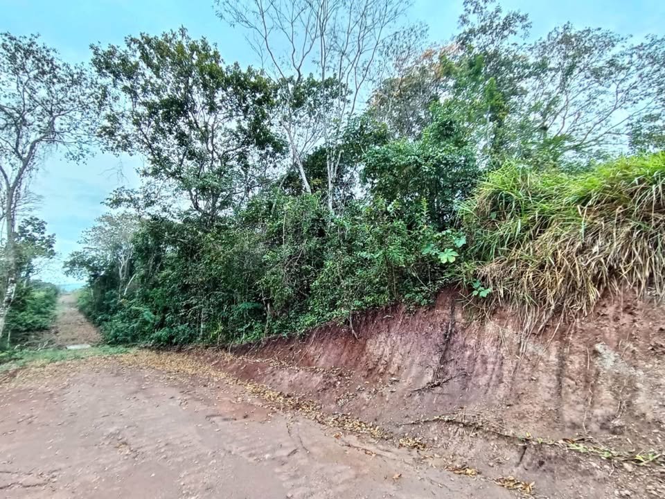 Terreno en La Banda de Shilcayo, San Martín — foto 4