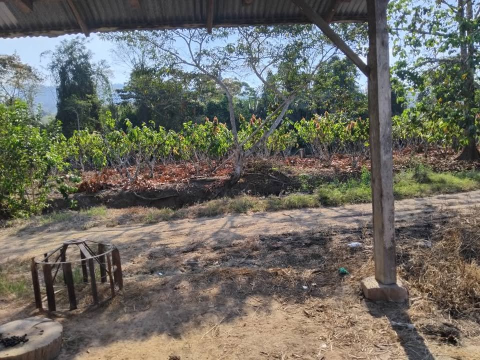 Terreno en Juanjuí, San Martín — foto 4