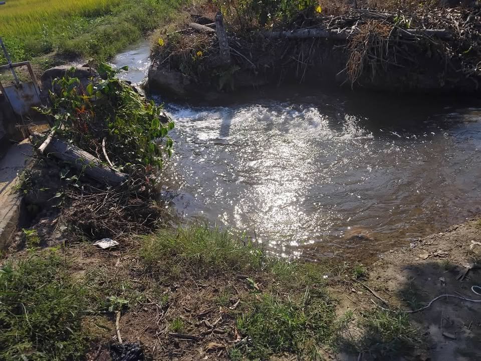 Terreno en Juanjuí, San Martín — foto 5