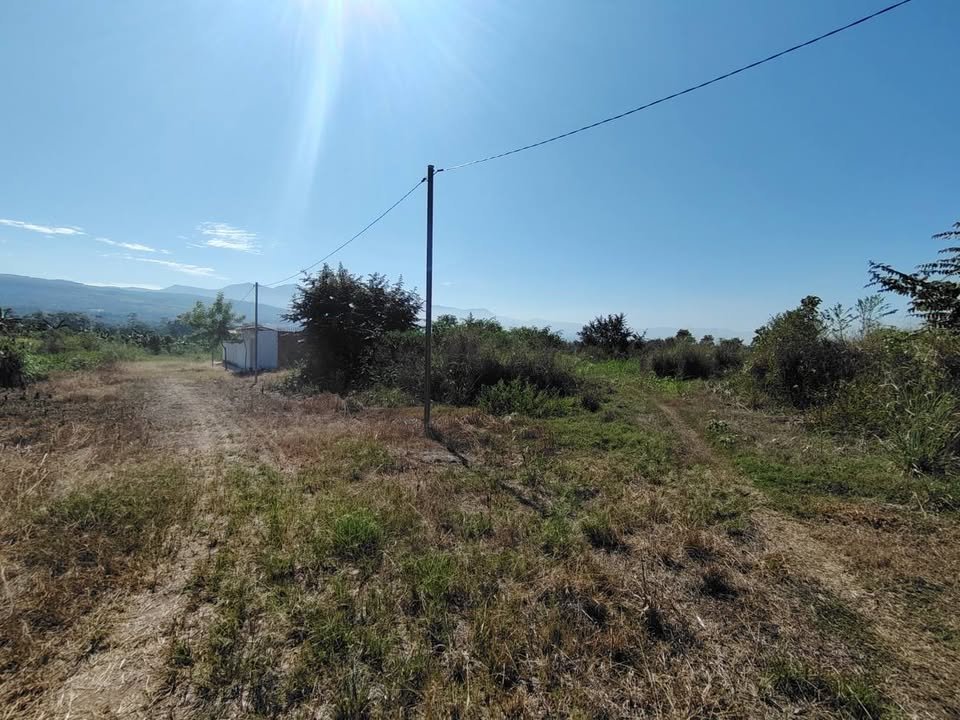 Lote en Tarapoto, San Martín — foto 2