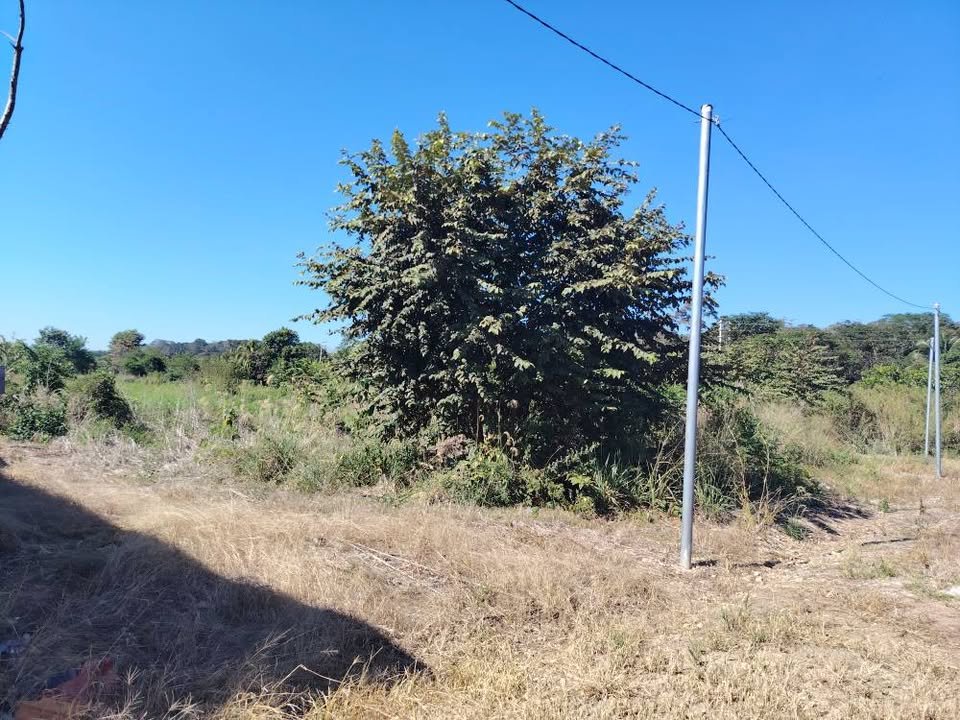 Lote en Tarapoto, San Martín — foto 6