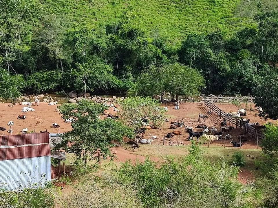 Terreno en Morales, San Martín — foto 5