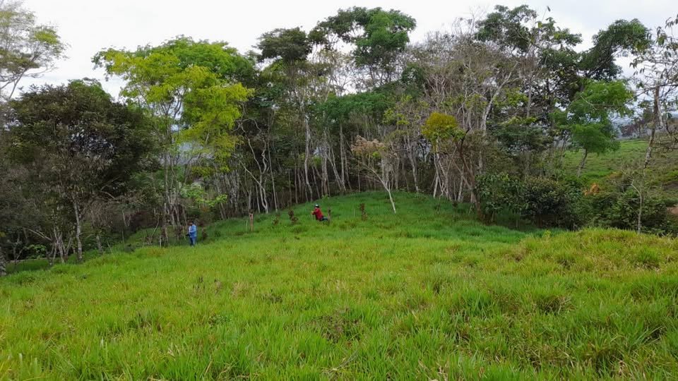 Finca / fundo en Moyobamba, San Martín — foto 5