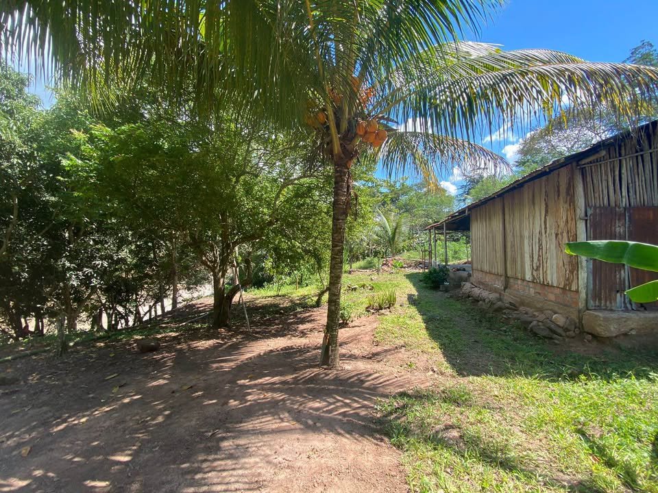 Chacra en Lamas, San Martín — foto 6