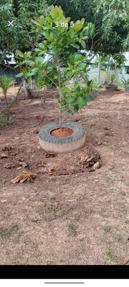 Quinta / casa de campo en Tarapoto, San Martín — foto 3