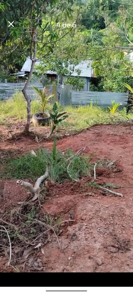 Quinta / casa de campo en Tarapoto, San Martín — foto 4