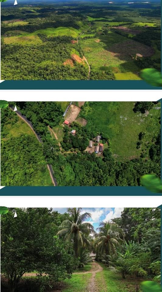 Terreno en Tarapoto, San Martín — foto 3