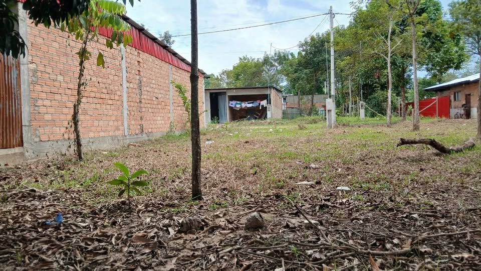 Lote en Tarapoto, San Martín — foto 2