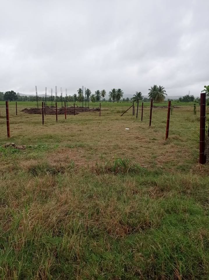 Lote en Cacatachi, San Martín — foto 4