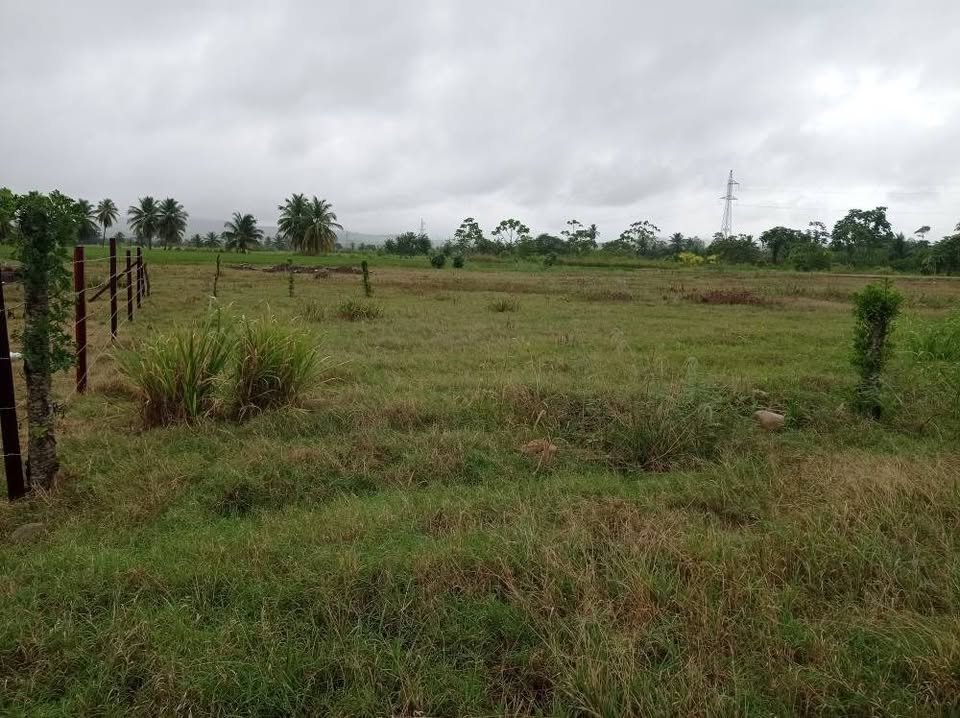 Lote en Cacatachi, San Martín — foto 6