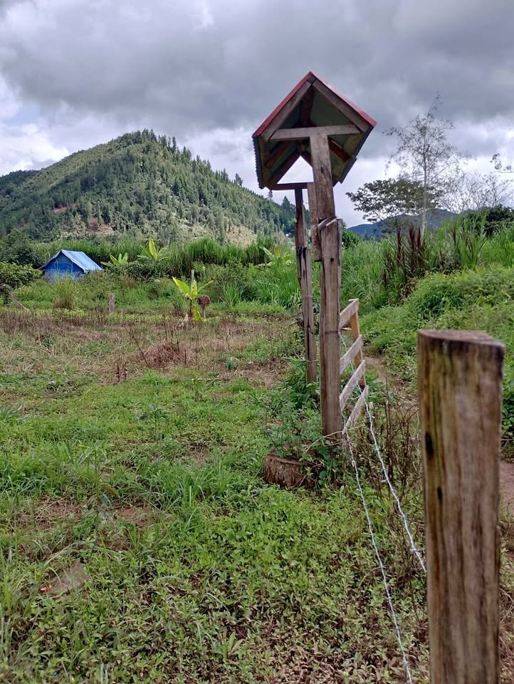 Lote en Oxapampa, Pasco — foto 1
